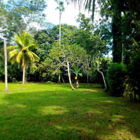 Villa Casita Amarilla Cahuita Exterior foto