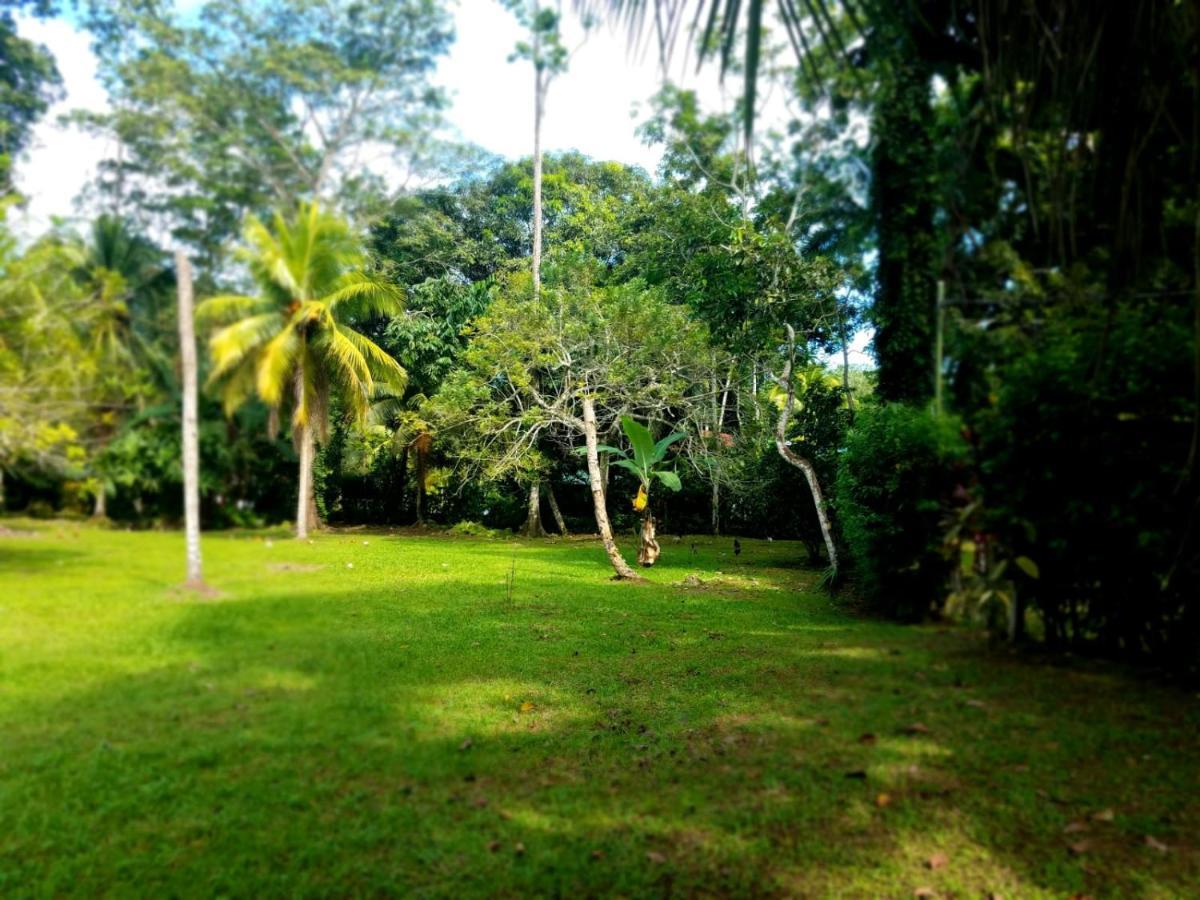 Villa Casita Amarilla Cahuita Exterior foto